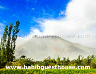 Habib Guest House Nubra Organic Garden