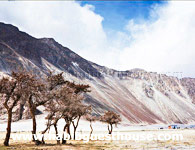 Nubra Valley Habib Guest House Nearby Mountains