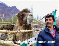 Nubra Valley Habib Guest House Owner