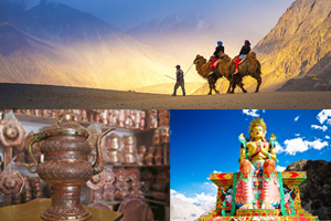 What to do in Nubra Valley